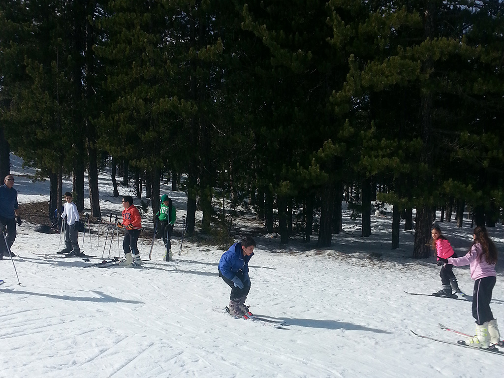 Εκπαιδευτικά Προγράμματα Φυσικής Αγωγής ΥΠΑΝ - Αθλήματα Βουνού (Χιονοδρομίες)